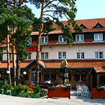 Hotel Pepa Divčibare